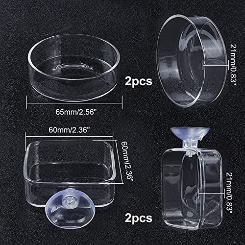 SUPERFINDINGS 4Pcs 2 Styles Transparent Glass Aquarium Shrimp Food Feeder Dish Fish Tank Feeding Bowls Dishes Flat Round Square Clear Feeding Bowl