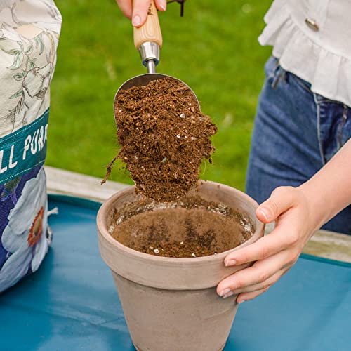 Berry&Bird Garden Loose Soil Scoop, Stainless Steel Hand Shovel Spade with Wood Handle Multi Function Gardening Trowel Spoons for Transplanting, Digging, Planting, Cultivation - color: Loose Soil Scoop, size: Small