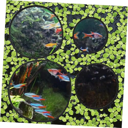 Happyyami 5pcs Fish Tank Grass Retaining Ring Fish Tanks Floating Plant Rings Floating Plants Rings Fish Feeder Fish Tank Plants Rings Aquarium Plant Holder Set Eva