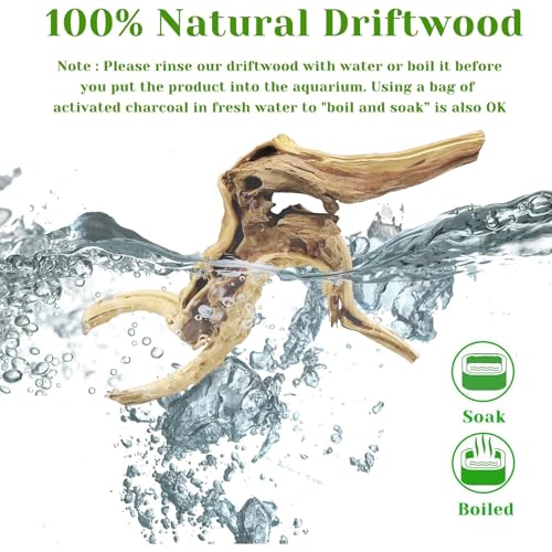 Natural Driftwood for Aquarium, 11-13 inch Reptile Branches Terrarium Wood Aquarium Trunk Driftwood Tree Fish Tank Log Decoration Pack of 2 - size: Spiderwood（7-13 inch pack of 2）