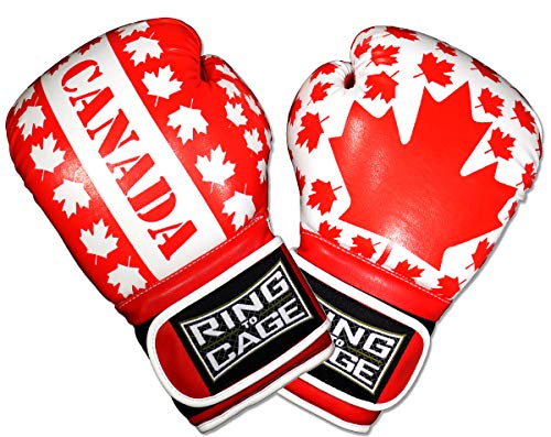 Gym Training Stand-Up Boxing Gloves - color: Canada, size: Large weighs 16oz