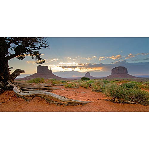 30x12 inches Monument Valley Photography Background American National Park Navajo Tribal Park Western Desert Weathering Rock Warship Landmark Film Backdrop Polyester Terrarium Background - color: Desert2, size: 30x12in