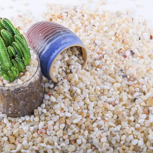 7lb Aquarium Gravel for Plants, 1/5Inch Outdoor Decorative River Rocks for Succulents and Cactus Landscaping, Garden Plant Rocks Natural Small Rocks Pea Gravel for Fish Tank Vases Terrarium - size: 7 LB