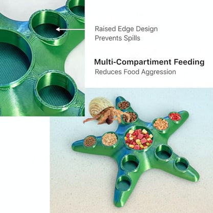 Hermit Crab Food and Water Dishes, 2 Pcs 10-Grid Feeding Bowls, Reptile Tank Accessories for Lizards, Snakes, Frogs and Small Pets