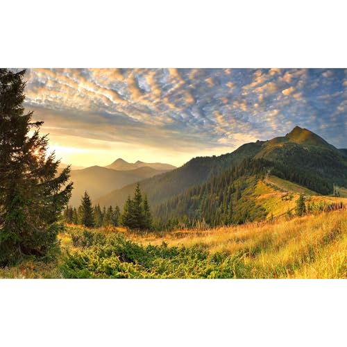 Sunset Mountain Landscape Aquarium Background Panoramic Mountain Valley Fish Tank Background Majestic Cloudy Blue Sky Pine Forest Terrarium Backgrounds Foggy Woodland Reptile Tank Backgrounds 36x18in