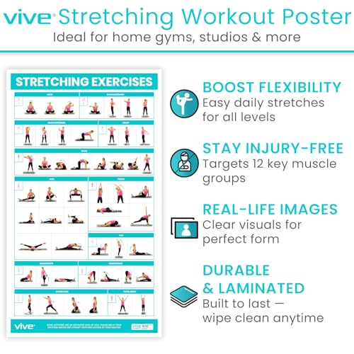 Vive Workout Posters for Home Gym - 52 Streching Exercises Full Body
