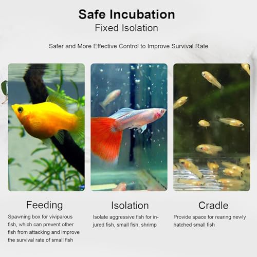 Acrylic Transparent Fish Tank Isolation Box, Aquarium Breeding Incubator Holder with Suction Cup and Hook, Adjustable Height for Tropical Fish Hatchery (30CM*10CM*10CM) - size: 30CM*10CM*10CM