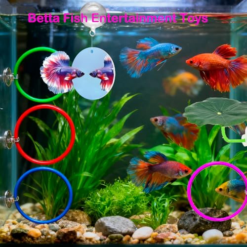 8 pcs Betta Fish Enrichment Toys Fish Exercise Rings Floating Betta Hide Shrimp Cave Tank Hammock Feeder Mirror Resting Spot for Small Fish Training Feeding Rings