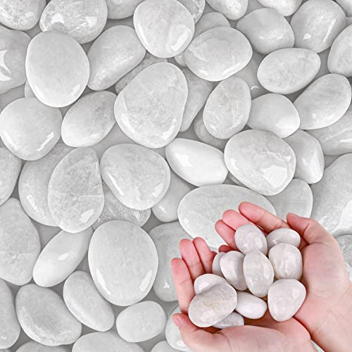 White River Rocks for Plants 11.25 LB Small Decorative Pebbles 1"-1.5" Polished Stones Smooth Aquarium Gravel for Fish Tank Vases Indoor Planters Outdoor Landscaping Garden (180oz)