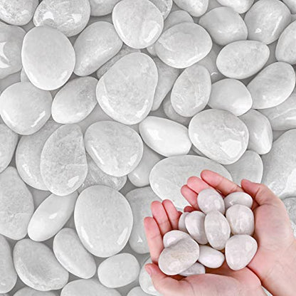 White River Rocks for Plants 11.25 LB Small Decorative Pebbles 1"-1.5" Polished Stones Smooth Aquarium Gravel for Fish Tank Vases Indoor Planters Outdoor Landscaping Garden (180oz)