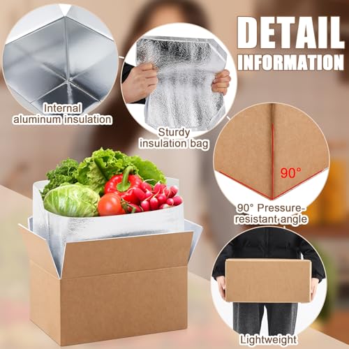 2 Pcs 17" X 10" X 8-1/4" Insulated Cold Shipping Boxes for Frozen Food with Aluminum Foil Liner Insulated Bag Thermal Cooler Cold Pack Boxes for Hot or Fresh Food Mailing Packing