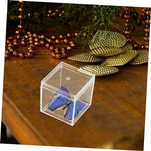 Homoyoyo 12pcs Mineral Specimen Display Case Plastic Box Dividers Mini Storage Container Food-Grade Easy Viewing Design