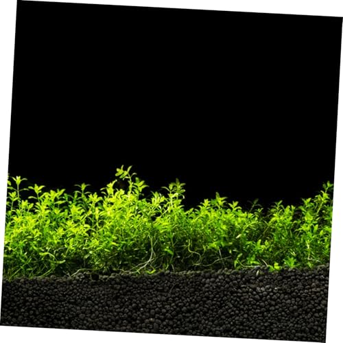Mikikit Aquarium Background: Self-Adhesive Fish Tank Background Sticker Aquarium Wallpaper Backdrop Roll for Underwater Scenery Fish Tank Decor
