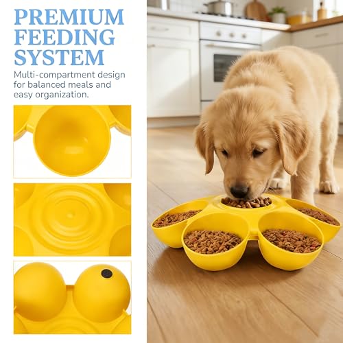 POPETPOP Cat Food Bowl with 6 Bowls - Pet Feeder for Kitten Puppy, Multi Cat Feeder, Multiple Feeder for Indoor s, Feeding Station for Food and Water (Yellow)