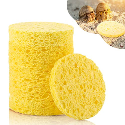 12 Pieces Hermit Crab Sea Sponges - Unbleached Supplies for Maintaining Tank Humidity - Pet Accessories Providing Nutrients