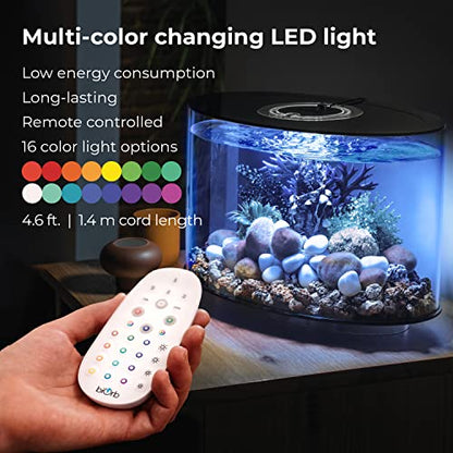 biOrb Loop 15 Acrylic 4-Gallon Aquarium with Multi-Color Remote-Controlled LED Lights Modern Compact Tank for Tabletop or Desktop Display, Black-Trimmed Tank