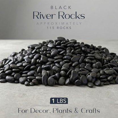 River Rocks Decorative Ornamental Vase Filler 0.5" - 0.75" Black Aquarium Gravel 1 lb - Landscaping Pebbles for Indoor Plants, Succulents, Terrarium & Home Decor, DIY & Crafting – Royal Imports