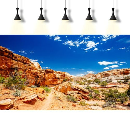 Desert Reptile Tank Background Blue Sky Rock Boulders Terrarium Background Desert Landscape Fish Terrarium Backgrounds Rocky Bush Reptile Enclosure Dragon BeardedTank Backdrop 48x24in