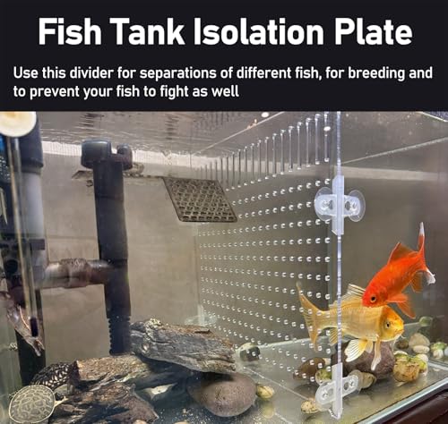 Acrylic Fish Tank Divider - 150n Rium Panel for Baby Fish Separation, Effective Aquarium Separator for Organized Tank Setup, Ideal for Breeding and Care.