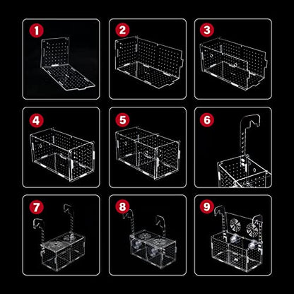Fish Breeding Box for Aquarium Acrylic Fish Tank Breeder Divider Box with Suction Cups Transparent Hatchery Hanging Incubator for Fishes Shrimp Clownfish and Guppy 7.2" x 3.5" x 3.3"