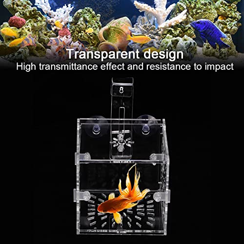 Acrylic Transparent Fish Tank, Breeding Isolation Box Aquarium Hatchery Incubator Holder with Screw Reinforcement, Convenient Use Comes with Isolation Board for Fish Breeding