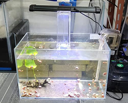 Small Nano Rimless Tank, Clear Glass Fish Tank, 1.1 Gallon, 7.8x5.5x5.9inch/20x14x15cm, Betta Fish Tank