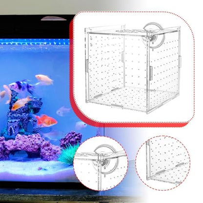 Aquarium Breeding Box Acclimation Hatchery Hatching Spawning Room Box Separator for ES Turtle, Single Room