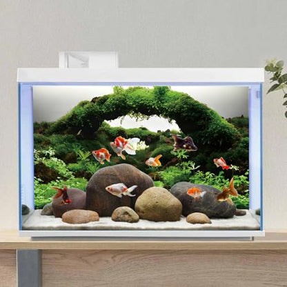 AWERT 24x16 inches Aquarium Background Green Algae Stone Aquarium Background Aquatic Plant River Bed & Lake Fish Tank Background Vinyl Background