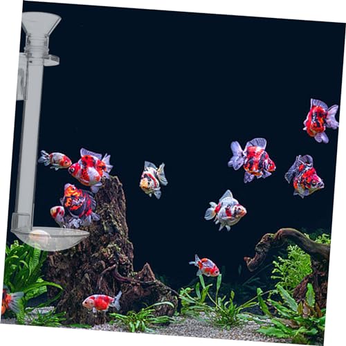 VANZACK 1set Hanging Fish Feeder Tool for Aquarium Acrylic Shrimp Feeder Easy Installation for Fish Tanks and Aquatic Environments