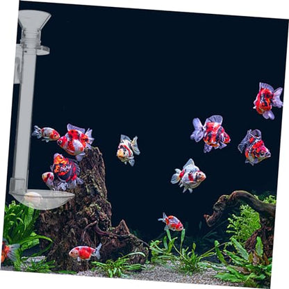 VANZACK 1set Hanging Fish Feeder Tool for Aquarium Acrylic Shrimp Feeder Easy Installation for Fish Tanks and Aquatic Environments