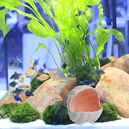 Aquarium Shell Shape Ceramic Cave Decoration, Fish House Conch Thematic Ornament for Betta Fish Passing or Hiding, Betta Tank 5.1inch Fish Tank Decoration (Pink, M)