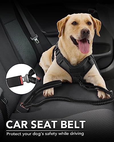Joytale Tactical Bungee Dog Leash, Shock Absorbing No Pull, Black - color: Black