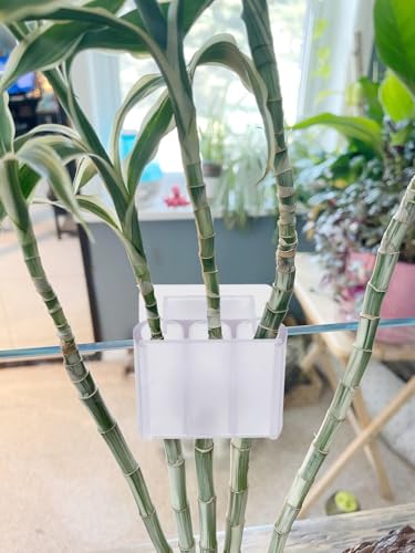 3 Holes Upgraded Aquatic Plant Cup Aquarium Plant Holder for Tank, Hanging Aquarium Plant Holder, Aquarium Aquatic Plant Cultivation, Aquarium Plant Decoration - 2 Pcs White