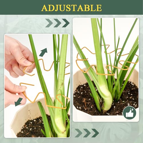 4 Pack Plant Stem Support, Adjustable Metal Monstera Plant Support Small 2PCS & Large 2PCS, Plant Supports for Indoor Plants Moss Pole Growth Plant Support Ring (Gold) - size: 5.5*5.9/2, 6.3*7.5/2