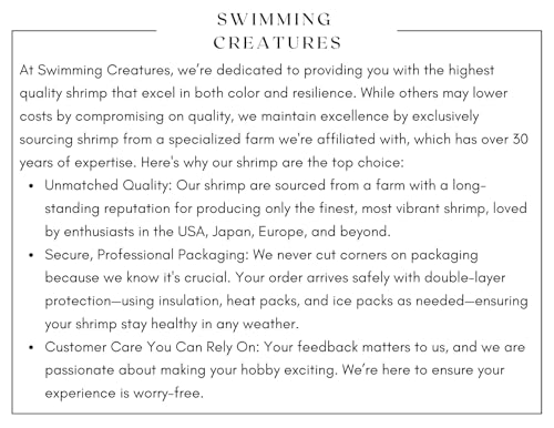 Swimming Creatures™ 10 Mixed Premium High-Grade Neocaridina Freshwater Aquarium Shrimp Live (Assortment of 4 colors)