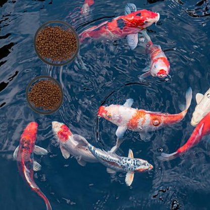 Fish Feeding Ring, Floating Plant Corral, Aquarium Floating Plant Ring, Floating Ring Aquarium Feeding Ring, Fish Tank Plant Corral Set for Aquarium Accessories, 6pcs, Black