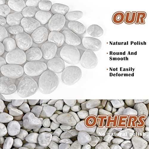 White River Rocks for Plants 11.25 LB Small Decorative Pebbles 1"-1.5" Polished Stones Smooth Aquarium Gravel for Fish Tank Vases Indoor Planters Outdoor Landscaping Garden (180oz)