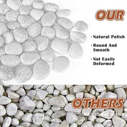 White River Rocks for Plants 11.25 LB Small Decorative Pebbles 1"-1.5" Polished Stones Smooth Aquarium Gravel for Fish Tank Vases Indoor Planters Outdoor Landscaping Garden (180oz)