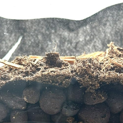 Reptile Substrate Liner for Terrarium, 24"x18" Substrate Guard Mesh