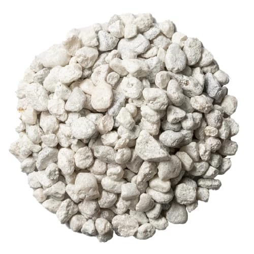 GloFish Aquarium Gravel 5 Pounds, White, Complements GloFish Tanks (29022) (Pack of 2) - color: White Frost, size: 5 pounds (Pack of 2)