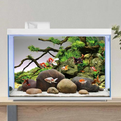 AWERT 48x18 inches Branches Aquarium Background Stone River Bed & Lake Fish Tank Background Green Algae Aquarium Background Vinyl Background - size: 48x18in/120x45cm