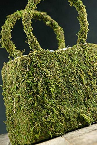 Richland Natural Preserved Moss Covered Purse Planter 8.75" Set of 6 - color: Green, size: 8.75‘’ (Set 6)