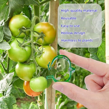 100Pcs Garden Vine Plant Support Clips,Plastic Fixing Clips for Securing and Training Climbing Plants,Tomatoes,Grapes,Vine Vegetables and Potted Plant (100, Green)