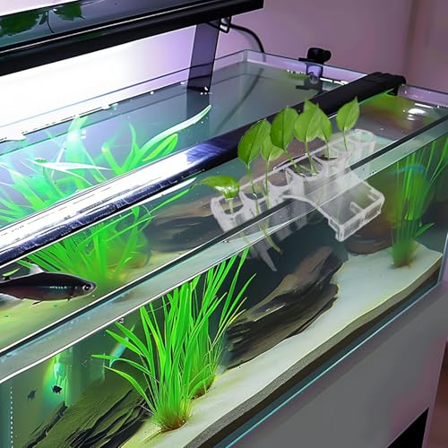 2 Pack 7-Hole Aquarium Plant Holder with Long Hook - Hanging Aquatic Plant Pot for Fish Tank, Versatile Plant Holder - Ideal for Aquascape Decorations on Top of Tank (Transparent)