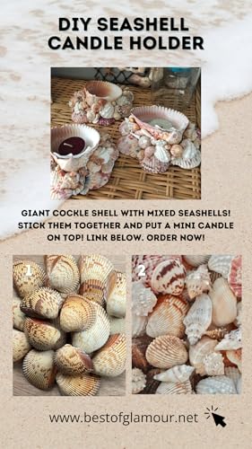 Large Cockle Sea Shells, 2.5"-4.5" Various Sizes Natural Seashells for Baking Shells Beach Themed Party DIY Crafts Fishtank Ocean Home Wedding Decorations (2)