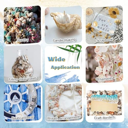 Sea Shells Mixed Beach Seashells, Various Sizes Natural Ocean Seashells for Beach Themed Party DIY Crafts Candle Making Fishtank Vase Fillers Home Wedding Decorations (150)
