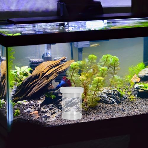 TEHAUX Aquarium Floating Breeding Box with Egg Isolation Net and Divider, Small White Hatchery Incubator Chamber for Guppy Fry and Small Fish Tank Nursery