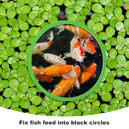 10pcs Fish Feeding Rings Set, Floating Aquarium Plant Corral, Round Feeder Ring Floating Plant Ring, Fish Tank Aquarium Accessories for Betta (Green)