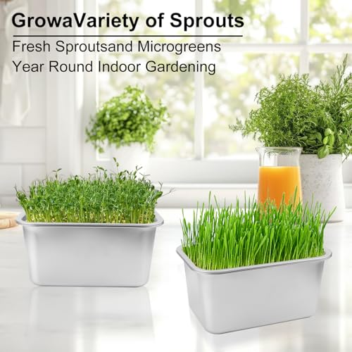 2 Set (4 Pack) Stainless Steel Sprouting Tray, 13 x 9 inches Stainless Steel Germination Trays for Indoor Microgreens, Broccoli Sprouts & Wheatgrass - size: 2 Set Silver