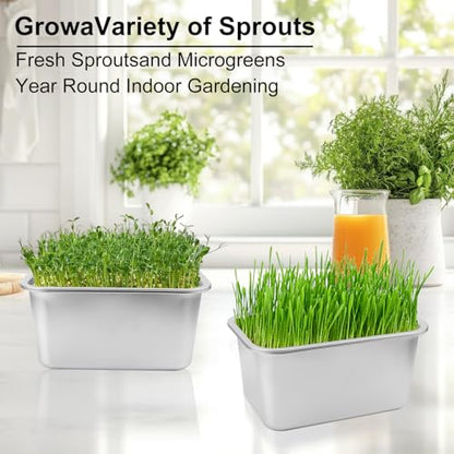 2 Set (4 Pack) Stainless Steel Sprouting Tray, 13 x 9 inches Stainless Steel Germination Trays for Indoor Microgreens, Broccoli Sprouts & Wheatgrass - size: 2 Set Silver